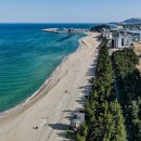 파인아트 이미지