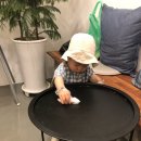 나인시스터플라워카페 네이버블로그