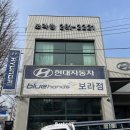 보라점 현대자동차 네이버블로그