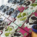 대원관광농원 이미지