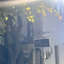 상수약국 | 서울 상수홍대 딸기케이크 맛집 ‘달콤한 거짓말’