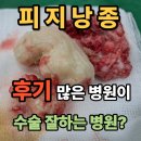 천보성 - 아산시 아산온천로 180 | 피지낭종 후기 많은 병원이 수술 잘하는 병원?(천보성 외과)