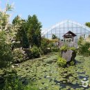 원주허브팜식물박물관 이미지