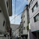 강남-263 이미지