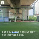 죽림풋살장 네이버블로그