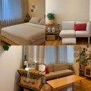 소솜,하루 이미지