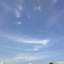 참새둥지야영장 이미지