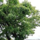 오조리경로당 이미지