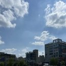세금과사람들 이미지