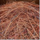 대운자원 이미지