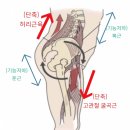 몸매공작소