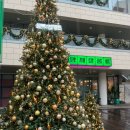 처인구포곡읍민원실_R | 2025년 스트레스 폭발? 걷고, 보고, 찍고! 연말 갬성에 미치다. 힐링 투어