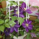 동호농장 이미지