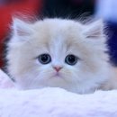 마타수학학원 이미지