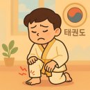 비룡 태권도장 이미지