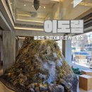 경복궁웨딩컨벤션홀 건너편 | 이도림 블로트커피 X 베이크 서촌 본점 - 경복궁역 대형카페 데이트 인왕산뷰 루프탑 카페