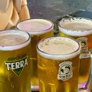 번동옛날치킨 | 수유역 치킨 :: 오늘통닭 수유본점:: 서울 3대 치킨 맛집 -옛날 통닭, 똥집 튀김 후기