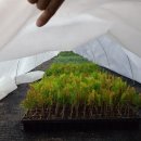 블루엔젤 하우스 이미지