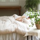 오렌지 크린 세탁소 이미지