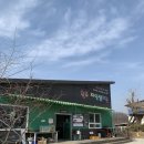 원주자연 | 원주 아이와 가볼만한곳: 동물 먹이주기 체험 '원주 자연생태원' 방문 후기