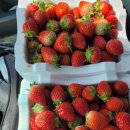 O.K 당구장 이미지