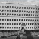 달나라토끼 이미지