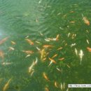 성구농장 이미지