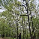 2170 | 대전 가볼만한곳 한밭수목원 피크닉 주차 입장료 무료 산책 후기