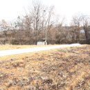 큰돌농장 이미지