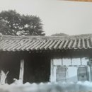 오회당 Daum카페