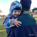 소드리목장 | 서울근교가볼만한곳 경기도아이랑갈만한곳 안성팜랜드 테마파크 코스모스축제