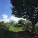 갓골 게스트하우스 이미지