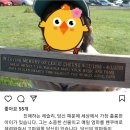 장국영 가사도우미 후일담 이미지