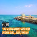 하의건어물 | 강릉 여행 맛집 및 숙소 추천 씨마크 부대시설 인피니티 풀에서 해돋이 보기