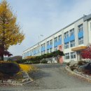 음성고등학교 이미지