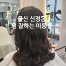 미스차미용실