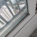 동양무궁화아파트 앞 | 일산 동양 타운 아파트 33평 사이청소 후기! 만족도 최고업체