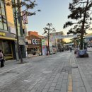 1397 | 수원 타로 잘 보는 곳 행궁동 타로당 찐 소름 돋은 후기