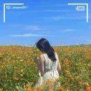 애월펜션 화목맨션 이미지