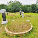 이인현선생묘 이미지