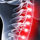 엘리나 필라테스 이미지