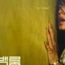괴물 신드롬 | [영화 리뷰] 백룸 영화 후기 해석 총정리｜뜻·쿠키·괴물·게임 분위기까지 직접 본 솔직 리뷰