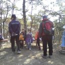 승달목장 Daum카페