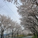 에브리선데이커피 본점 이미지