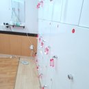 아하데이스파토르말린저온체험관 이미지