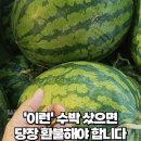 꿀수박 고르는방법 이미지