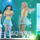 미미여관 이미지