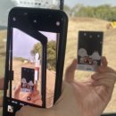 정실농장 이미지