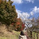 테크밸리셀프세차장 이미지