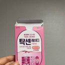 생리통 약 추천! 탁센레이디 솔직 후기, 성분/효과 총정리
